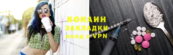 гашик Алексин