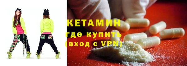 гашик Алексин