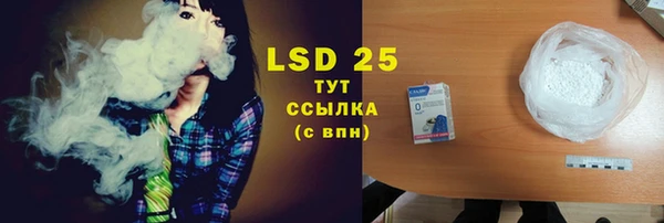 гашик Алексин