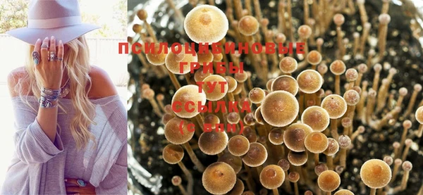 амф Семёнов