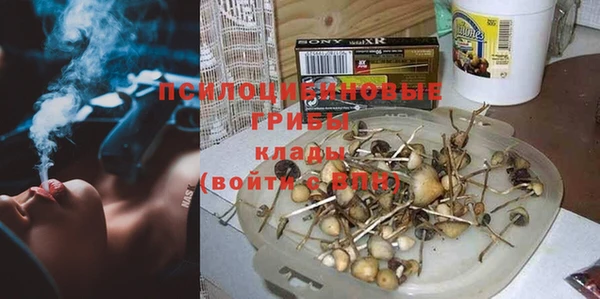 бошки Абинск