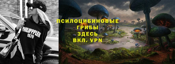 гидра Абдулино
