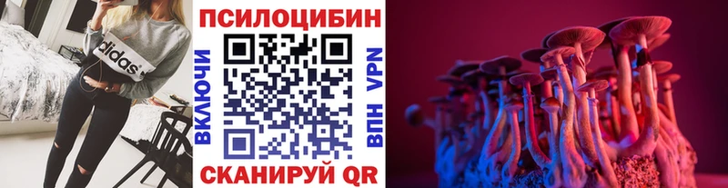 магазин    даркнет какой сайт  Галлюциногенные грибы Cubensis  Гусь-Хрустальный 